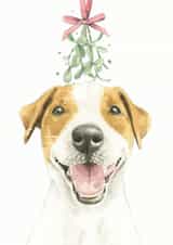 Jack Russell Terrier Christmas Card created by Robert James Hull