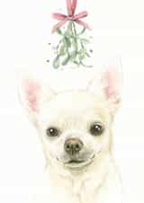 Chihuahua Mistletoe Christmas Card created by Robert James Hull
