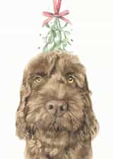 Chocolate Cockapoo Mistletoe Christmas Card created by Robert James Hull