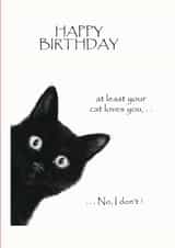 A cute cat card for your loved one on there birthday created by David Stringer ( STRINGS )