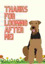 Dog sitting thank you card created by Laura Coyle
