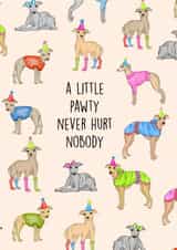 A whippet's birthday pawty! created by Poppy & Mabel 