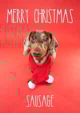 Merry Christmas Sausage Dog Dachshund Card created by The Yorkshire Pawtrait Co.