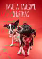 Pawesome Christmas Dog Card created by The Yorkshire Pawtrait Co.