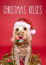 Cockapoo Christmas Kisses Dog Card created by The Yorkshire Pawtrait Co.