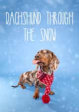 Dachshund Through The Snow Sausage Dog Christmas Card created by The Yorkshire Pawtrait Co.