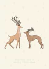 Wishing you a merry christmas created by Goldie Design Studio