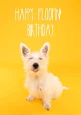Cute and colourful dog birthday card created by The Yorkshire Pawtrait Co.