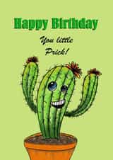Happy Birthday card - Funny - Cactus created by Dani Paoli