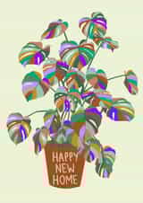 Cute New Home card - featuring a colourful monstera/cheese plant. created by Chloe Cooper