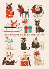 12 Dogs of Christmas Illustrated Christmas Card for Pet Lovers created by Flourish Paperworks