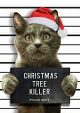 Funny Cat Christmas Card created by Brainbox Candy