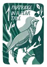 "Partridge in a pear tree" Fun Christmas card from 12 Days of Christmas Series created by Kati Lacey Illustration