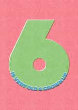 6 is very old & grown up birthday card (6 birthday card) created by London Road Designs