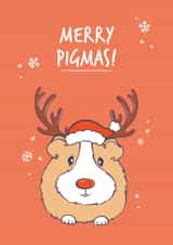 Guinea Pig Reindeer Christmas Card created by Goofy Guineas
