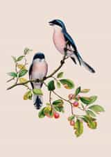 Any Occasion Vintage Birds Card - Loss, Thinking of You - Traditional Art created by eo design & photo