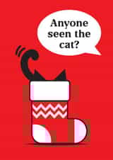 Cute Christmas card, purr-fect for cat lovers - Stocking - Anyone
seen the cat? created by Haywood House