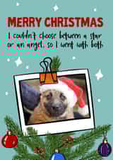 Personalised Christmas Photo Card created by Woody's Design - Cute Christmas photocard pet or child
