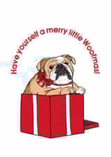 Cute Christmas card with a bulldog jumping out of a box - Merry little Woofmas created by illograph