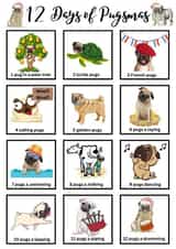 12 Days of Pugsmas, Pug Christmas Card created by Cheeky Tito
