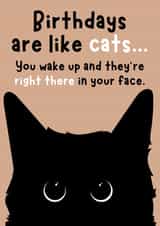 Cute Cat Birthday Card - Birthdays Are Like Cats - Funny - Cat - For Her created by Designs By Andy