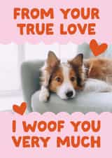 Personalised Valentines Day Photo Card created by Studio Mads - from the dog pun Valentines Day Personalised Photo Card 17661