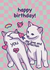 Cute Funny Meme Cat - Happy Birthday! - For Girlfriend, Boyfriend, Husband, Wife created by Mona Mauve