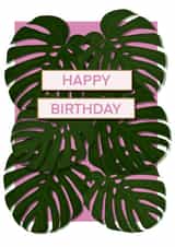 Contemporary Birthday Card for Relative/Friend - Monstera House Plant created by DC Cards