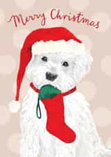 Cute Christmas Card - Dog With Stocking - Merry Christmas created by Louise Tiler