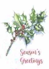 Holly on Snow created by Tim Pond