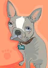 Cute French Bull Dog card for that special person in your life created by Higgledy Prints