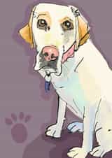 Gorgeous doe eyed Labrador card for any occasion created by Higgledy Prints