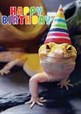 Cute Leopard Gecko Birthday Card created by Chantelle Carney