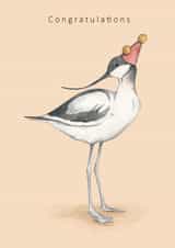 Congratulations - avocet bird in party hat created by Dani Williams