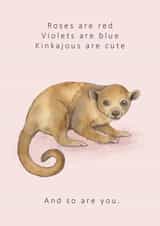 Roses are red... cute Kinkajou animal Valentine's card created by Dani Williams