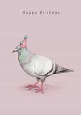 Happy birthday pigeon in party hat created by Dani Williams