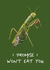 Card for Boyfriend / Husband - Praying Mantis - I Promise I Won't Eat You created by Toadstools and Frogsofas
