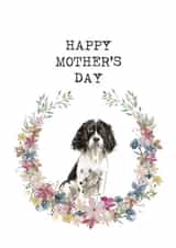 Cute Mother's Day card - Springer Spaniel - Wreath created by Audrey & Coco