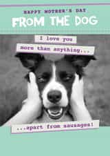 Funny from the dog mother's day card - cute doggie I love you... created by Quitting Hollywood