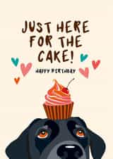Cute Birthday Card - From the Dog - Just here for the cake created by Diva Doodle Designs