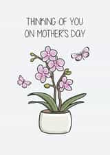 Heartfelt Mother's Day Card - Thinking of You on Mother's Day - Orchid created by Creaternet