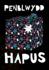 Penblwydd Hapus Gyda Cariad - Welsh Birthday Card with Star-Wrapped Present created by Gabriella Wilde