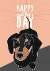 Cute Mother's Day Daschund Card for your Mum created by boroughcollective
