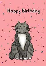 Cute Cat Confetti Happy Birthday Card created by Meg Lillicrap Studio