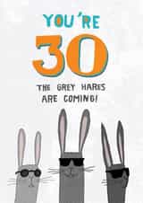 30th birthday card - grey hairs (hares) created by Pencilface
