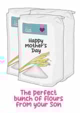 Perfect flowers from your son card - flour - funny created by Silly Sentiments