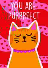 Purrrfect card created by The Paper Tail