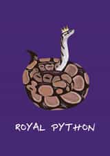 Funny Animal Pun Card - Snake - Royal Python created by Toadstools and Frogsofas
