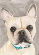 Cute card for dog lovers. created by Alex M Illustrates