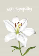 Cute Sympathy Card - Casablanca Lily created by Fliss Muir